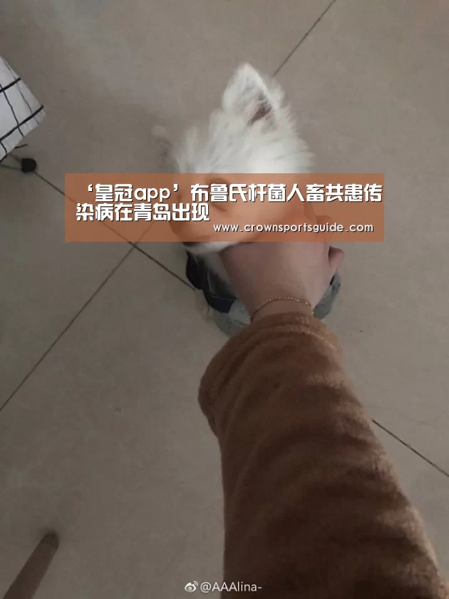 ‘皇冠app’布鲁氏杆菌人畜共患传染病在青岛出现(图1) 皇冠app